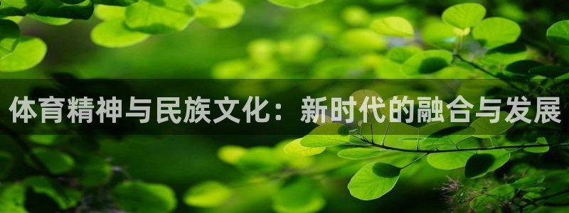 胜天国际2登录
