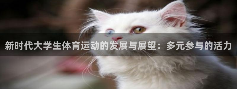 胜天国际3注册