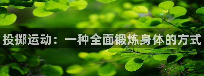 胜天国际4官网