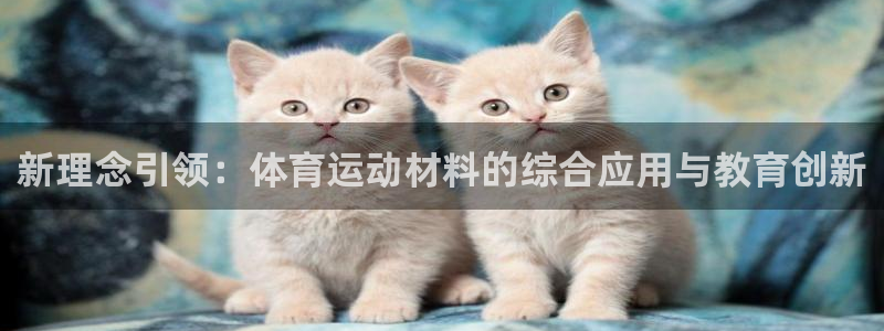 意昂总代