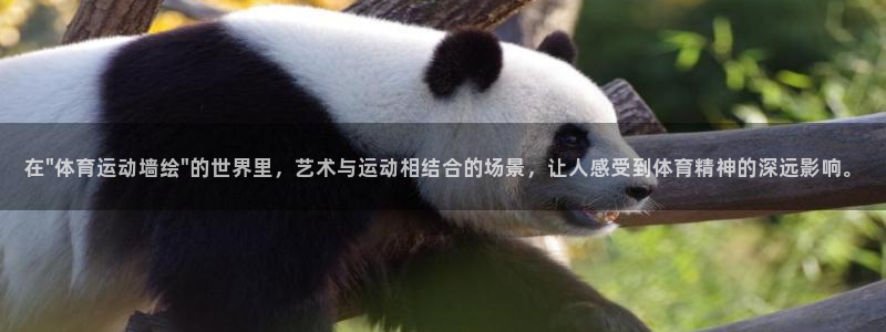 胜天国际体育游戏