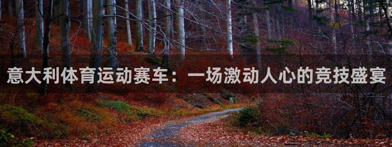 胜天国际