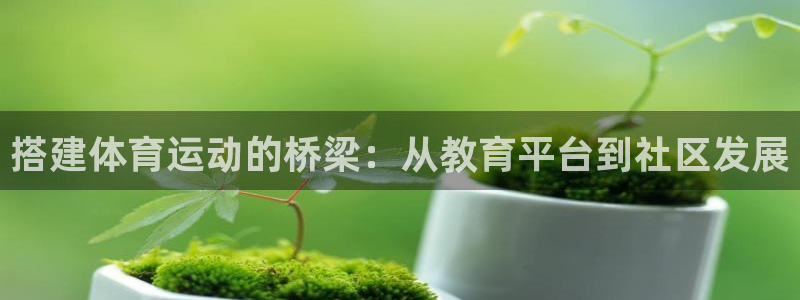 胜天国际