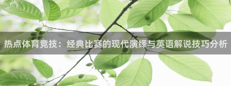 胜天国际3登录