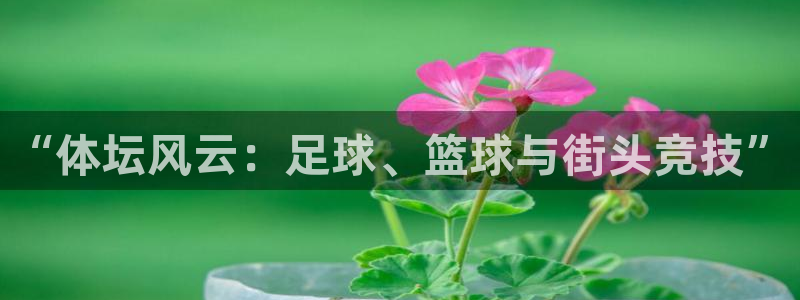 意昂包