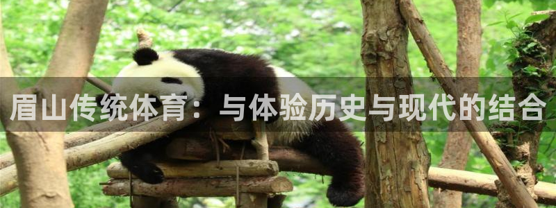 胜天国际官网注册