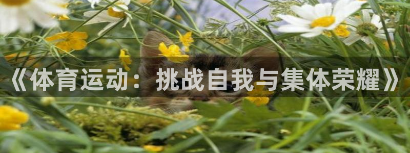 胜天国际体育凯捷平台注册