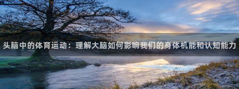 胜天国际2注册