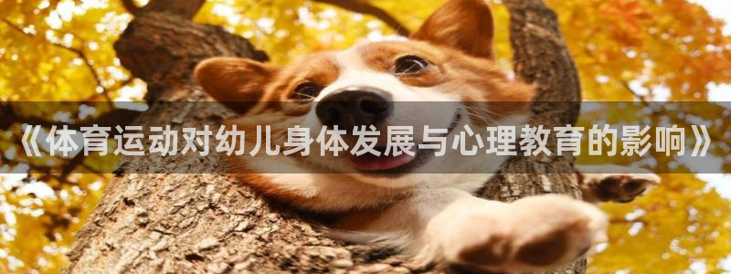 胜天国际体育注册登录入口