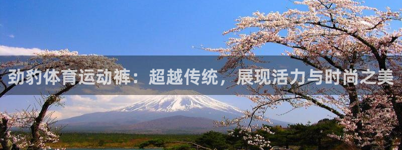 胜天国际登录