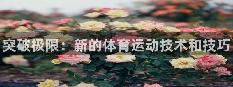 成都意昂电子有限公司