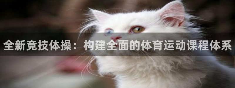 胜天国际登录