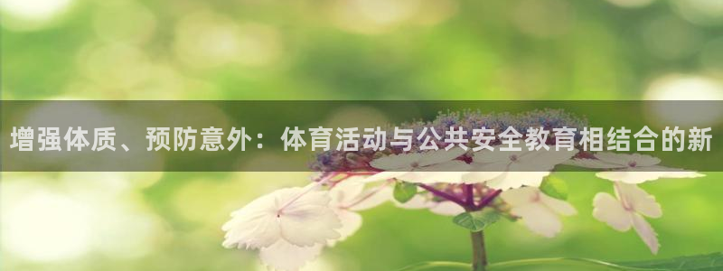 胜天国际体育代理申请流程