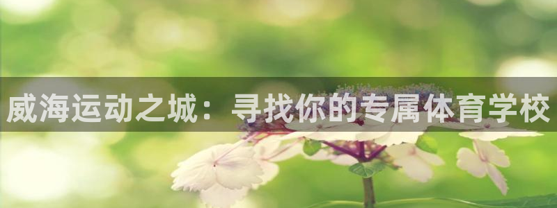 胜天国际体育注册代理