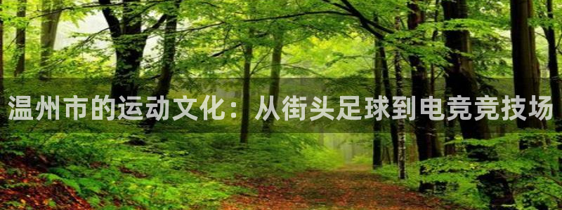 德国胜天国际集团