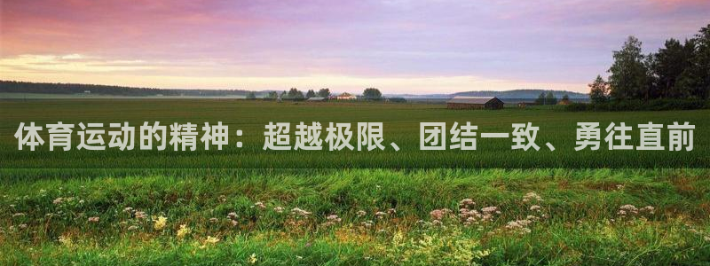 胜天国际体育注册代理