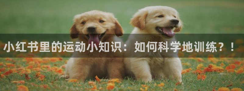 胜天国际5注册