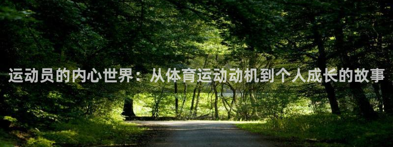 胜天国际体育官网入口登录
