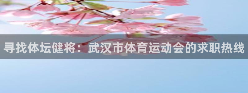 胜天国际体育凯捷平台代理