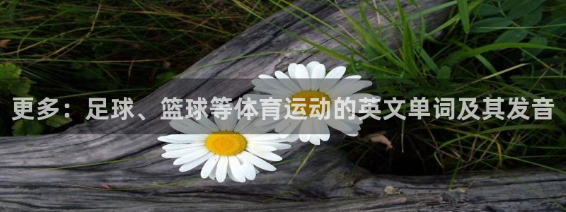 胜天国际体育2官网入口