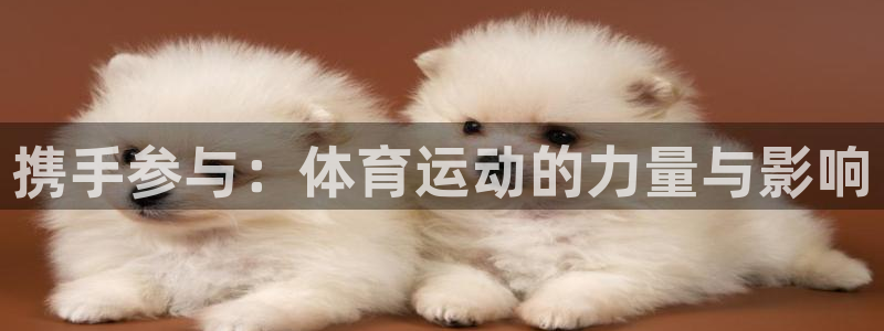 胜天国际体育2
